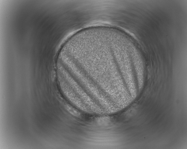 X0000067361363200604212017