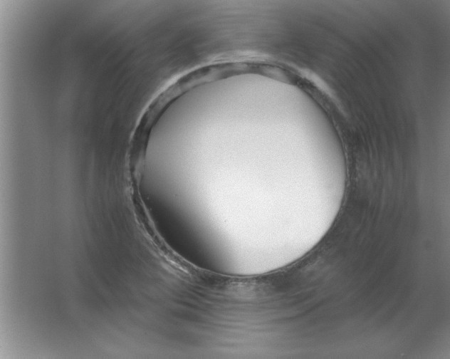 X0000067361364200604212017