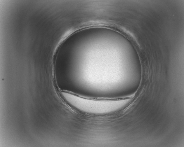 X0000067361365200604212017