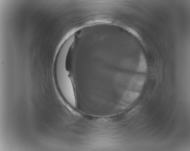X0000067361373200604212016