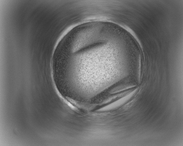 X0000067361389200604212016