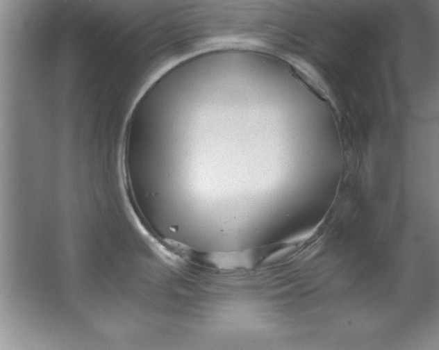 X0000067361391200604212016