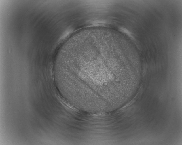 X0000067361403200604212015