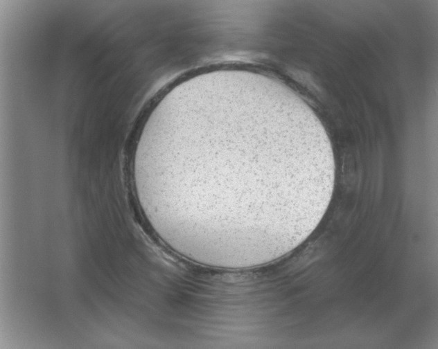 X0000067361404200604212016