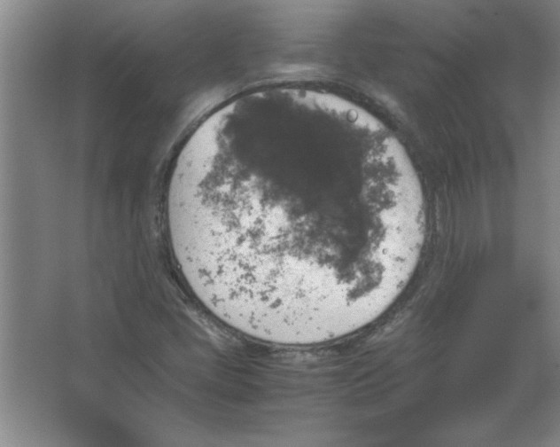 X0000067361405200604212016
