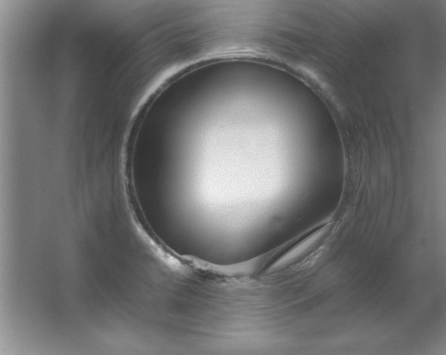 X0000067361422200604212016