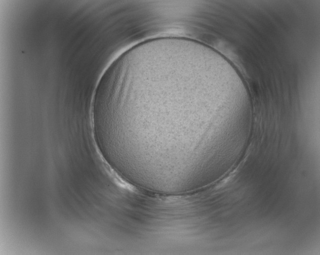 X0000067361436200604212016