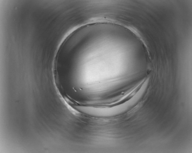 X0000067361438200604212016