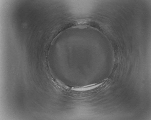 X0000067361441200604212015