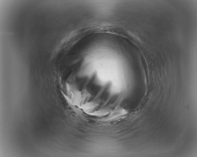 X0000067361447200604212015
