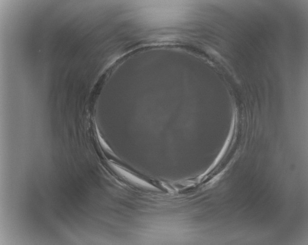 X0000067361449200604212015