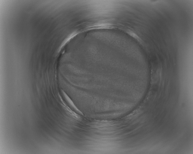 X0000067361450200604212015