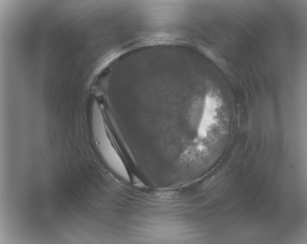 X0000067361453200604212015