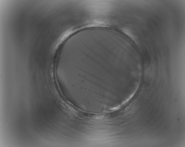 X0000067361455200604212015