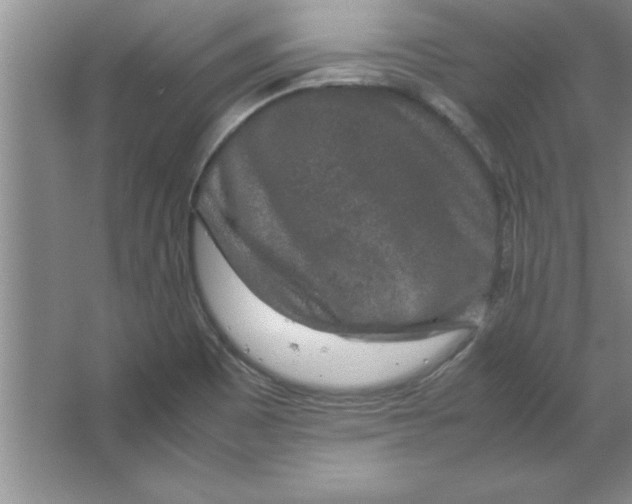 X0000067361465200604212015