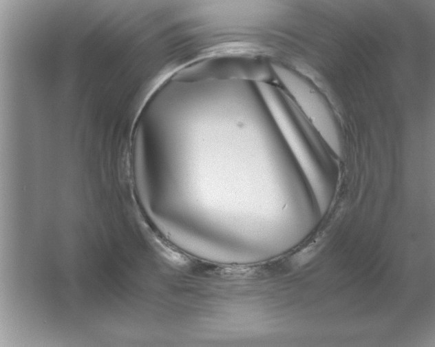 X0000067361473200604212015