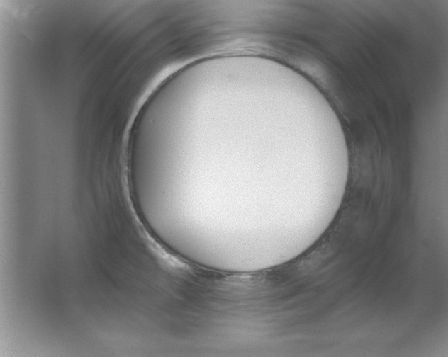 X0000067361478200604212015