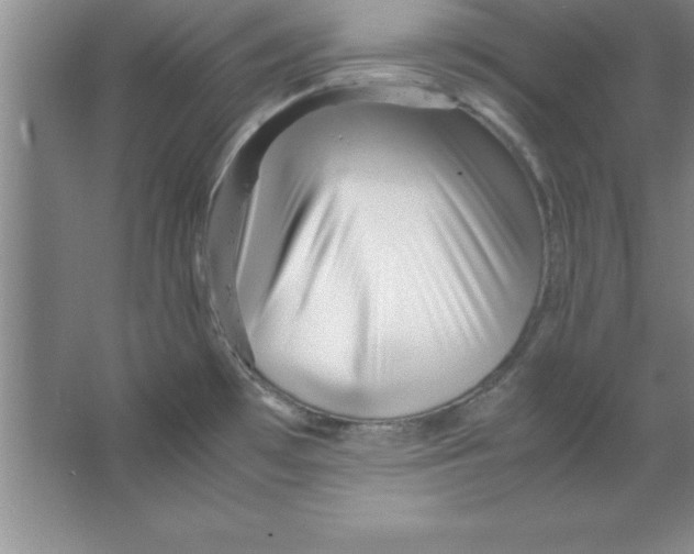 X0000067361481200604212015
