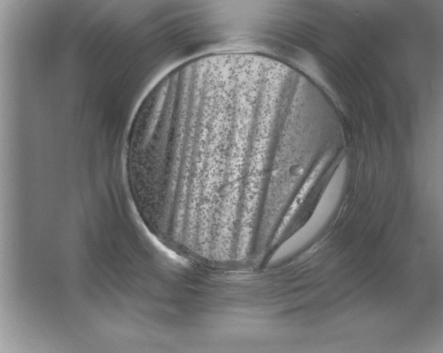 X0000067361484200604212015