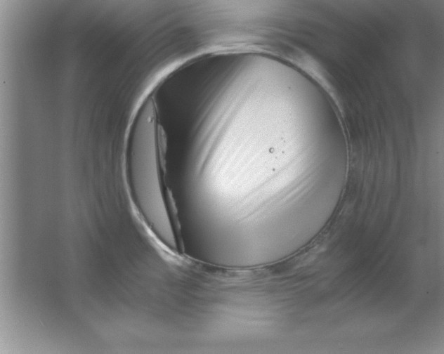 X0000067361485200604212015