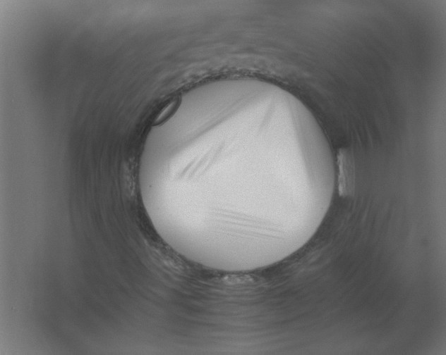 X0000067361491200604212014