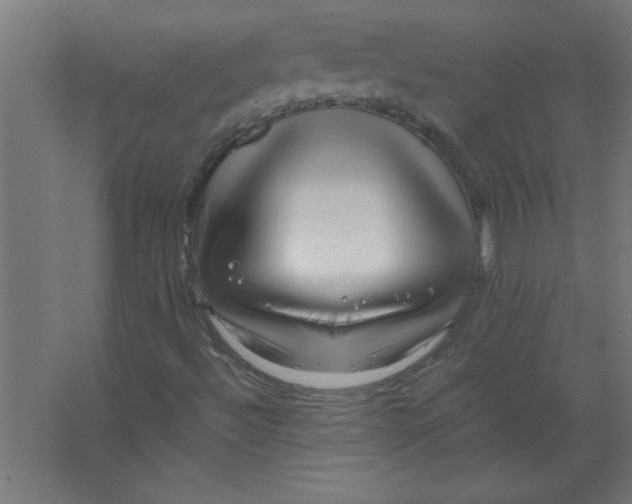 X0000067361492200604212014