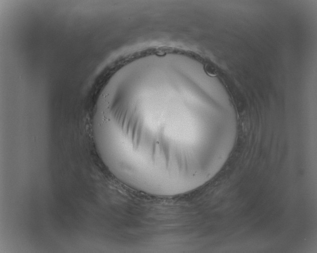 X0000067361495200604212014