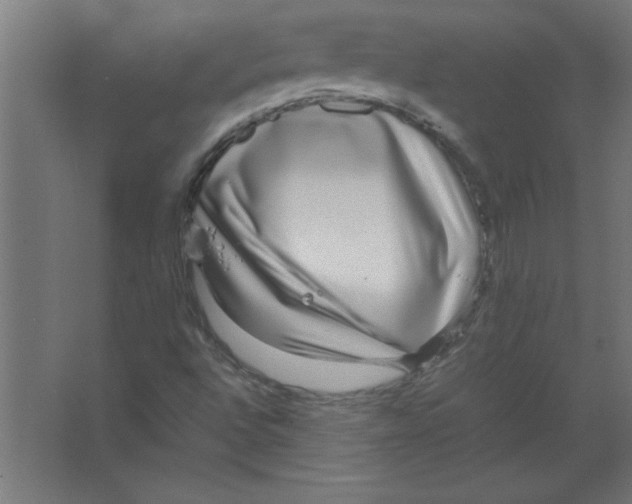 X0000067361496200604212014