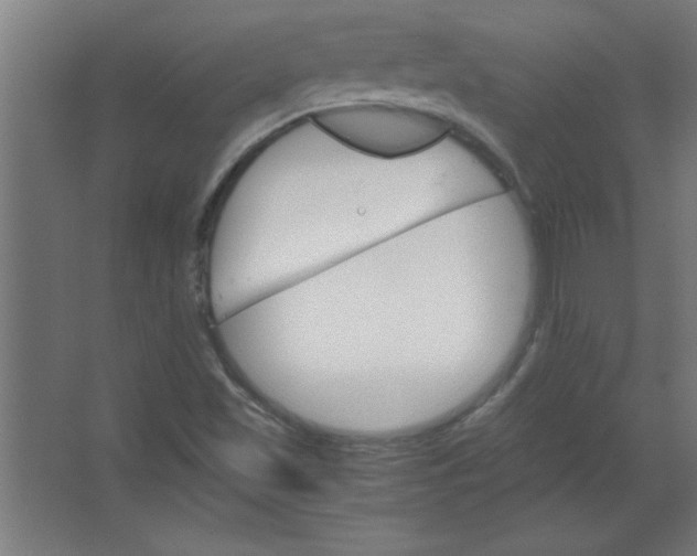 X0000067361501200604212014