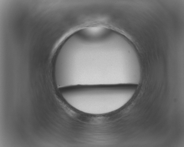 X0000067361502200604212014