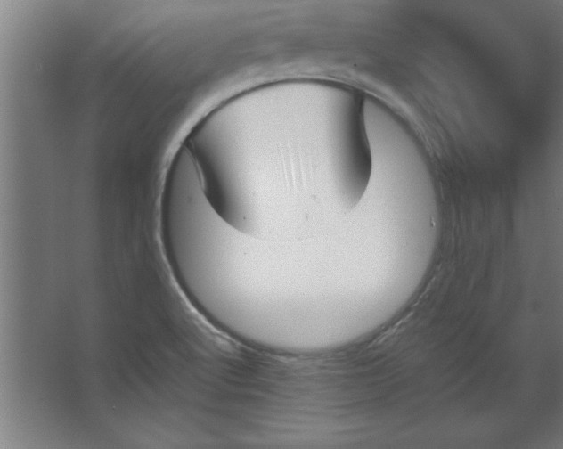 X0000067361512200604212014