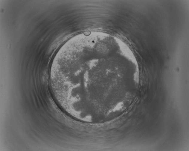 X0000067360002200604281737