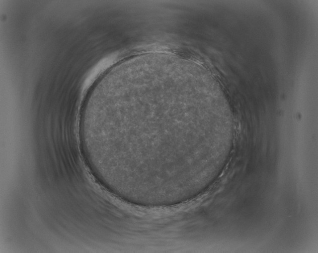 X0000067360006200604281737