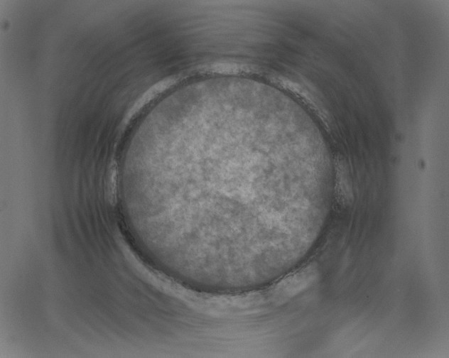 X0000067360016200604281737