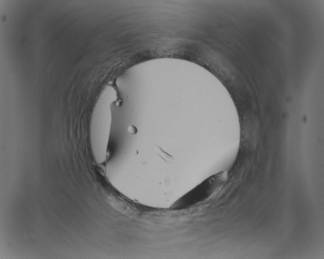 X0000067360025200604281736