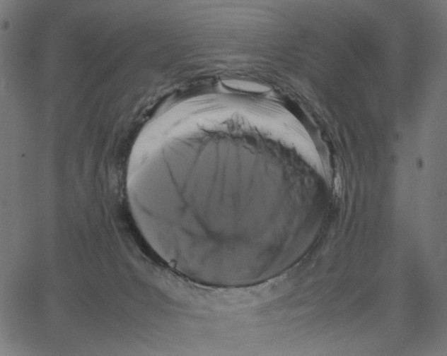 X0000067360031200604281736