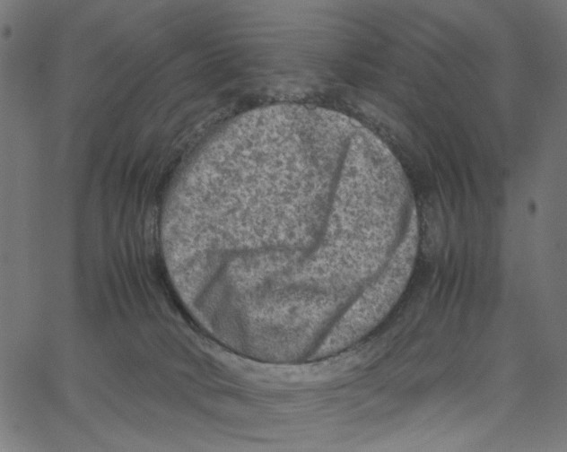 X0000067360034200604281736