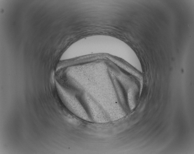 X0000067360041200604281736