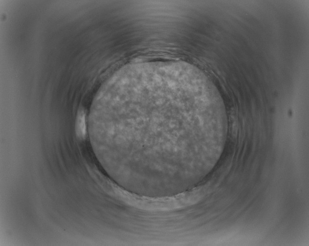 X0000067360042200604281736