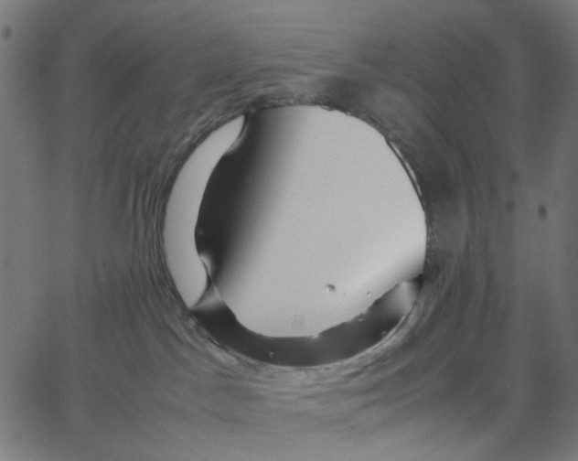 X0000067360045200604281736