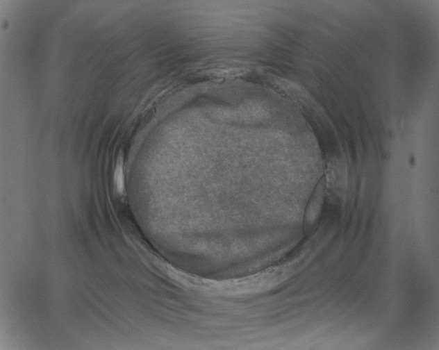 X0000067360046200604281736