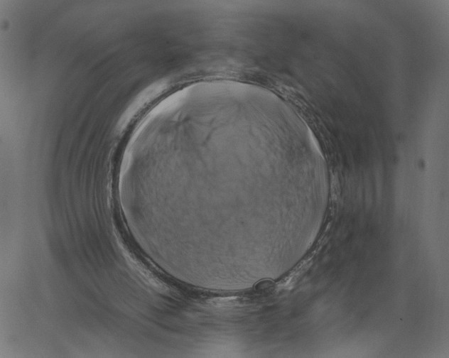 X0000067360054200604281735