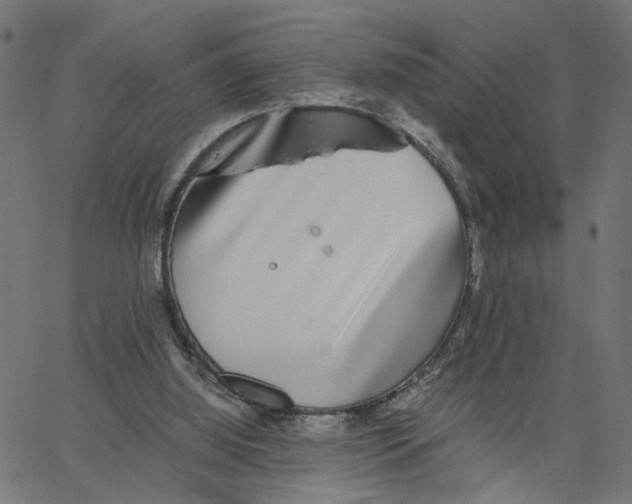 X0000067360060200604281735