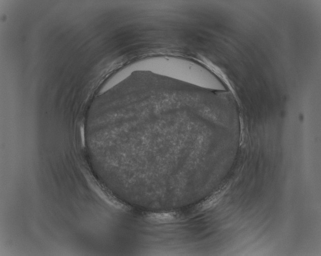 X0000067360061200604281735