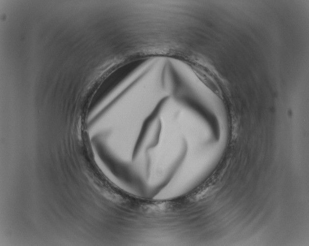 X0000067360068200604281736