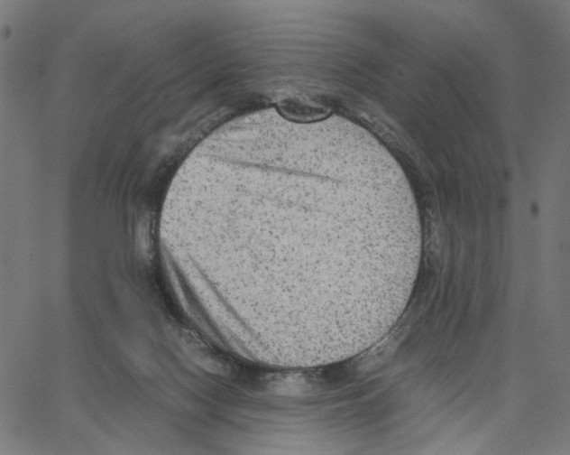 X0000067360074200604281736