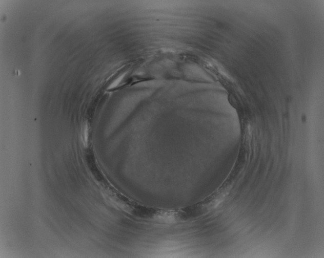 X0000067360076200604281736
