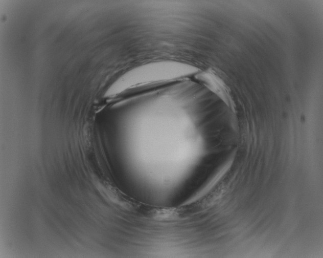 X0000067360088200604281736