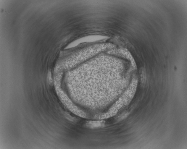 X0000067360089200604281736