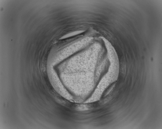 X0000067360091200604281736